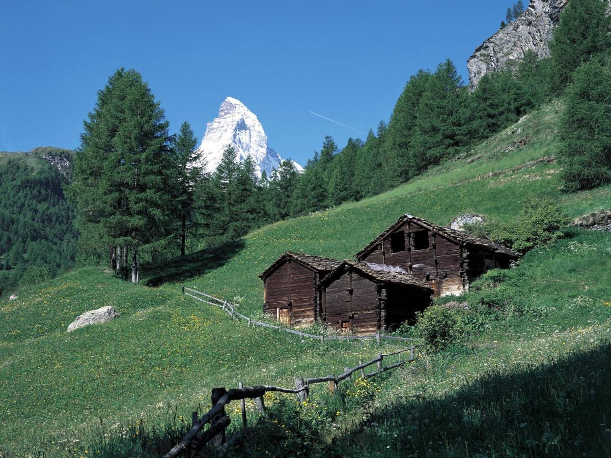 Hubertus-2